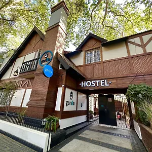 Gorilla Hostel